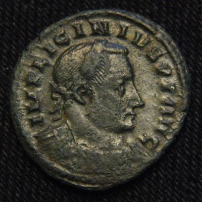 The-Ancient-Bargain-Bin